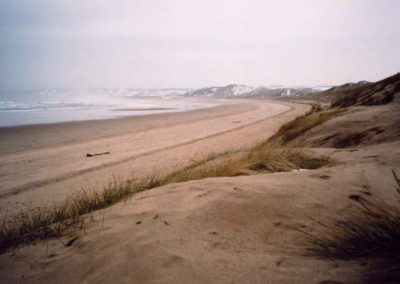 The dunes above the beach where Sophia and Moray sit and talk