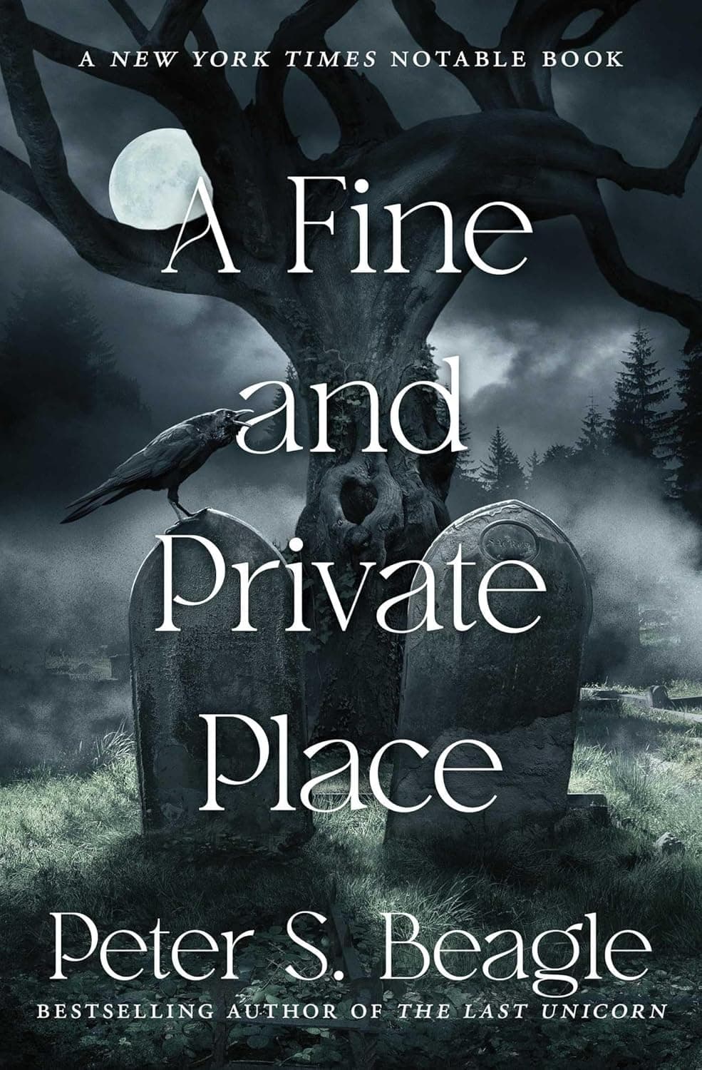A Fine and Private Place The cover of Peter S Beagle's novel A Fine and Private Place, showing two gravestones close together against a night sky with a full moon showing high between the branches of the tree behind them. In the tree trunk is a knot-hole shaped like a heart, set between the two gravestones, and a raven is perched on top of one of the gravestones.